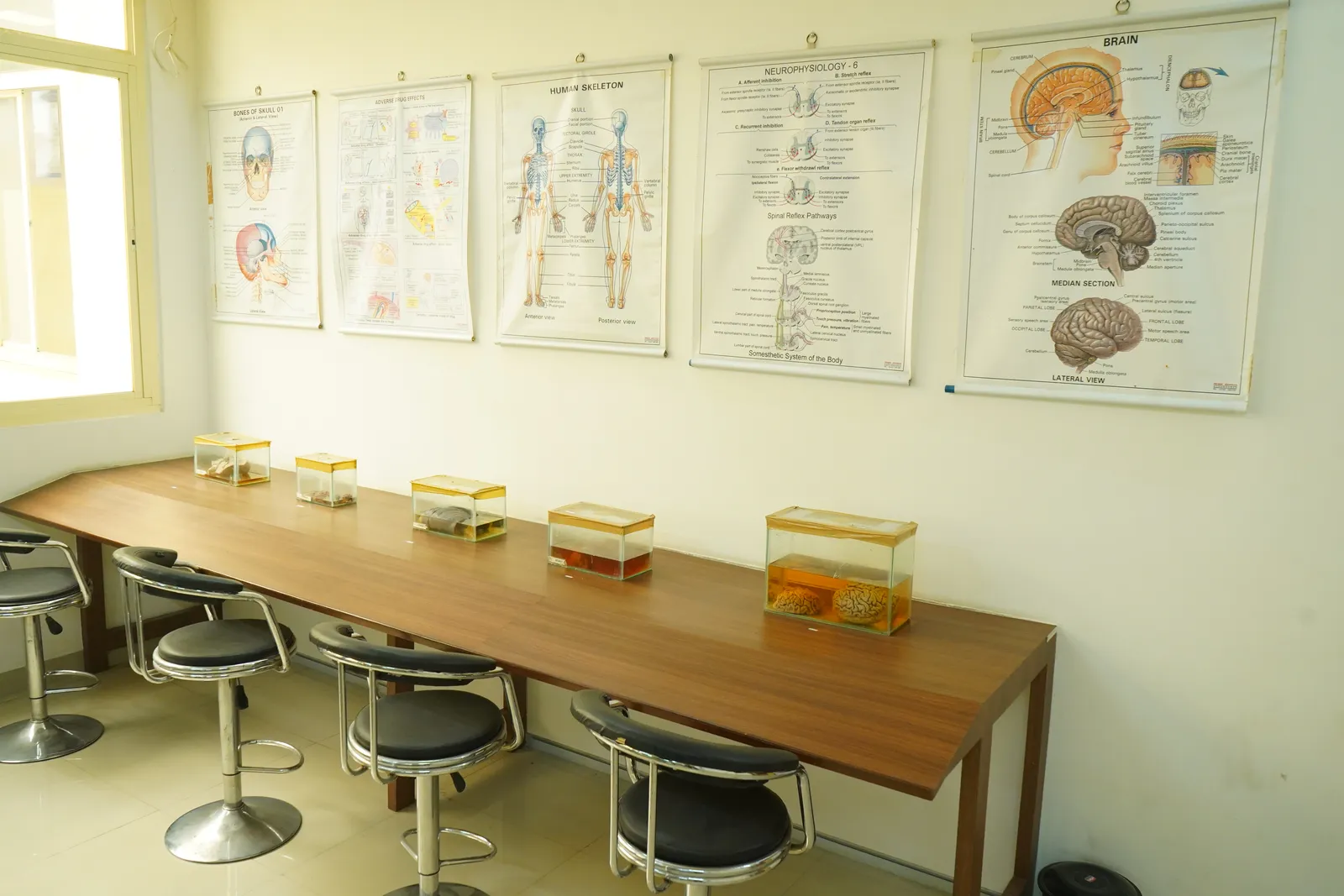 Lab equipment setup
