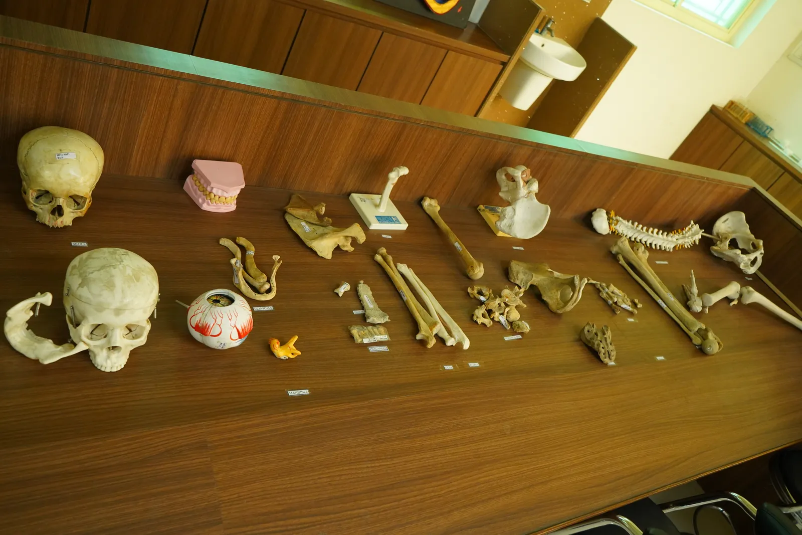 Clinical equipment