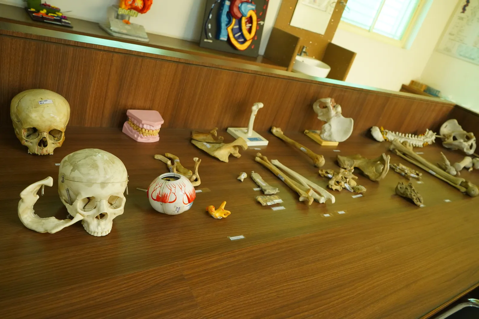 Lab facility